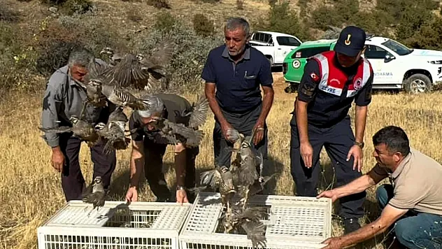 Malatya'da doğaya kene savar 100 keklik salındı