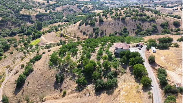 Malatya'da Doktorluğu Bıraktı, Köyüne Döndü! Şimdi Kayısı Yerine Bunu Üretiyor