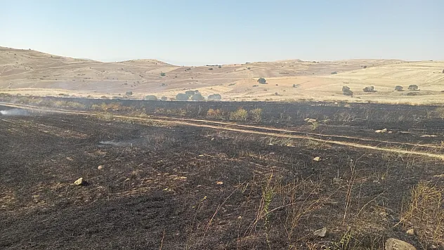 Malatya'da Ekin Tarlası Alevlere Teslim Oldu!