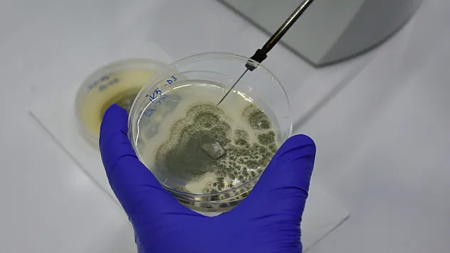 Malatya'da Gıda Güvenliği İçin Yerli Patent