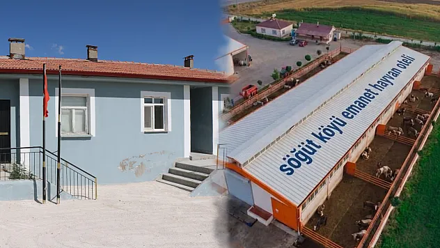 Malatya'da Gurbetçilere Kolaylık! Hayvanlarını Satmadan Şehirlerine Dönebilecekler