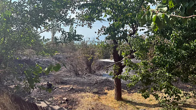 Malatya'da İki İlçeyi Ayağa Kaldıran Yangın Rüzgarla Yayıldı!