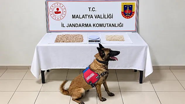 Malatya'da Jandarmadan Uyuşturucu Darbesi! Ele Geçirilen Miktar Dikkat Çekti