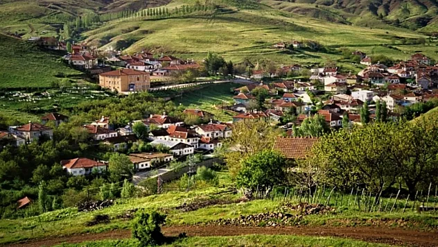 Malatya'da kaç Alevi köyü var?