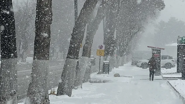 Malatya'da Kar Yağışı Etkili Oluyor! Ulaşımda Aksamalar Yaşanıyor