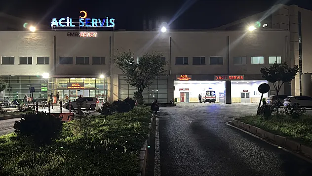 Malatya'da Yaya Karşıya Geçerken Ezildi
