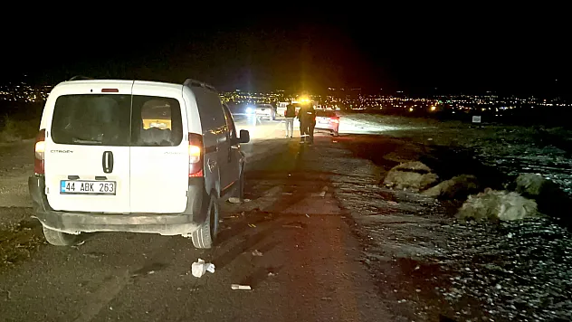 Malatya'da Katliam Gibi Kaza: 12 Koyun Telef Oldu