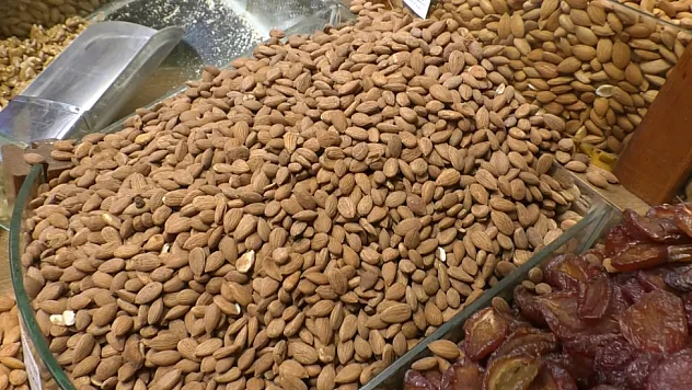 Malatya'da Kayısı Çekirdeği Sezonu! En Çok Hangisi Satılıyor?