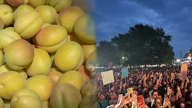 Malatya'da Kayısı Festivali Coşkusu Başlıyor