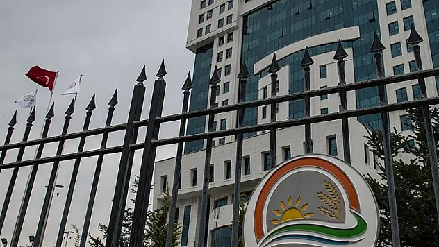 Malatya'da Kırmızı Et Üretimine Güçlü Destek