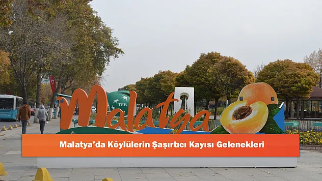 Malatya'da Köylülerin Şaşırtıcı Kayısı Gelenekleri