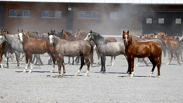 Malatya'da Şampiyonların Yeni Nesli Pistlere Hazırlanıyor!