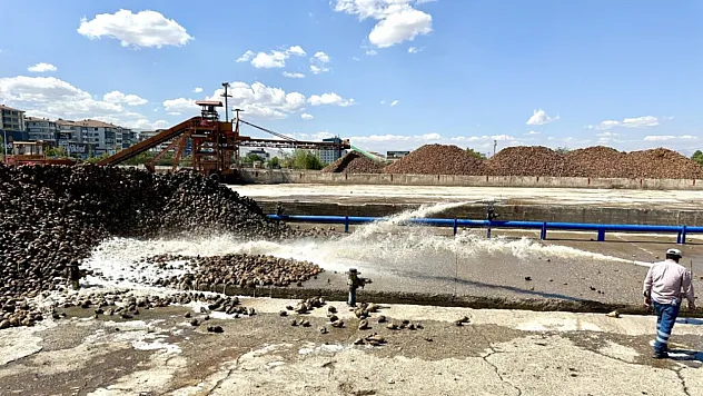 Malatya'da Şeker Pancarı Fiyatı Belli Oldu