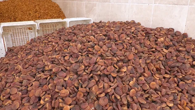 Malatya'da Sezonun İlk Fiyatları Üreticiyi Ve Tüccarı Nasıl Etkiledi?