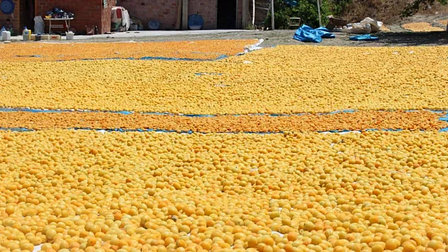 Malatya'da Sigortasız Çiftçilere ne zaman ödeme yapılacak?