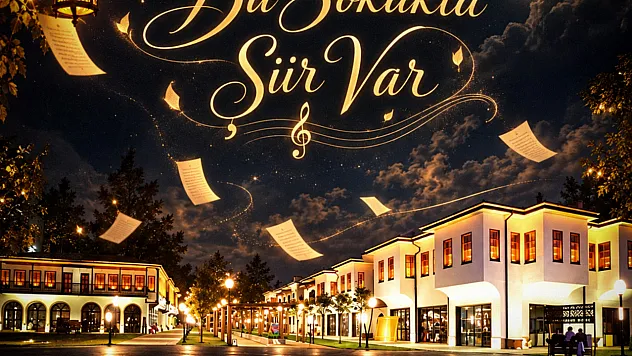 Malatya'da Sokaklar Şiirle Buluşacak! Tarih Belli Oldu