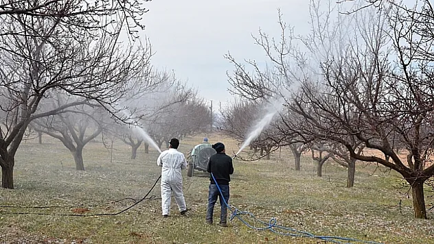 Malatya'da Üreticilere Kritik Uyarı: Verim Kaybını Önlemek İçin İlaçlama Şart