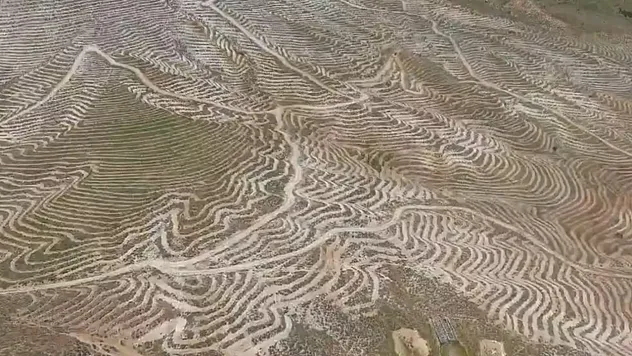 Malatya'da Yeşil Vatan Hamlesi! Doğanşehir Dağlarında Dönüşüm