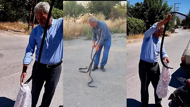 Malatya'da 'Yılan Savar Muhtar' Bu Kez İki Dev Kara Yılanını Yakaladı!