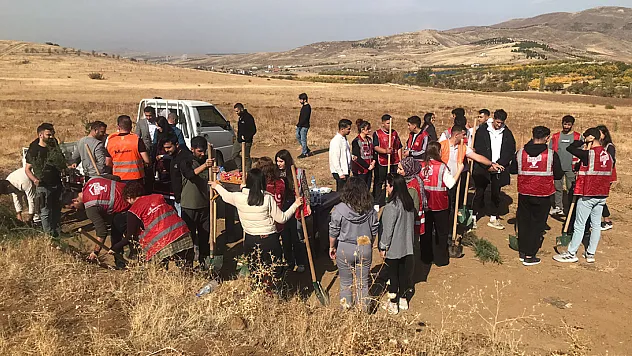 Malatya Gençleri Birlik Ormanı İçin Buluştu
