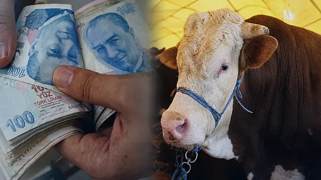 Malatya Hayvan Pazarında Uyarı! Sahte Ödeme ve Hasta Hayvan Riskine Dikkat