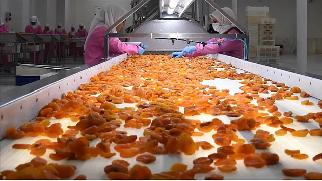 Malatya İhracatında Çift Yönlü Tablo