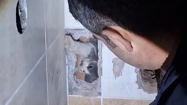 Malatya İtfaiyesinden Nefes Kesen Operasyon! Mahsur Kalan Kedi Kurtarıldı