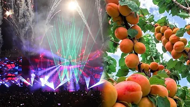Malatya Kayısı Festivali İçin Geri Sayım Başladı! Ünlü İsimler Sahne Alacak
