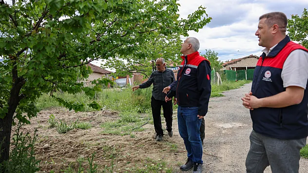 Malatya Kayısısında Dolu Endişesi! Ekipler Sahaya İndi