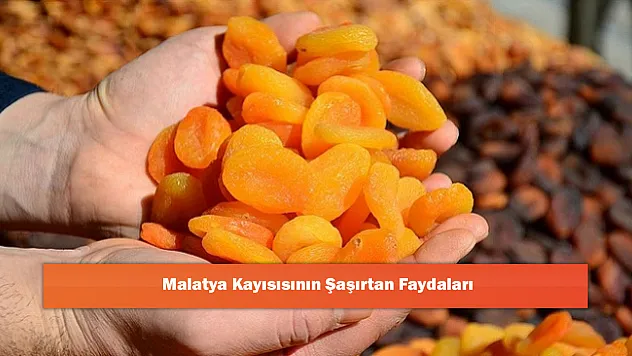 Malatya Kayısısının Şaşırtan Faydaları