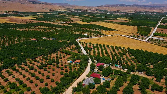 Malatya'nın Gelişmişlik Endeksi ve Genel Sıralamadaki Yeri