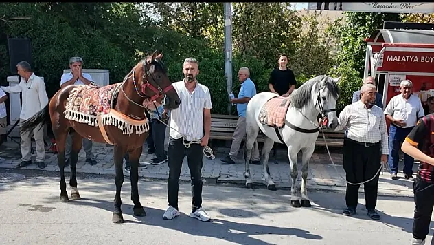 Malatya'nın Şampiyon Rahvan Atı Kaçkar İçin Yeni Hedef!