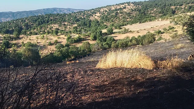 Malatya Pütürge'de 20 Dönümlük Alan Kül Oldu!