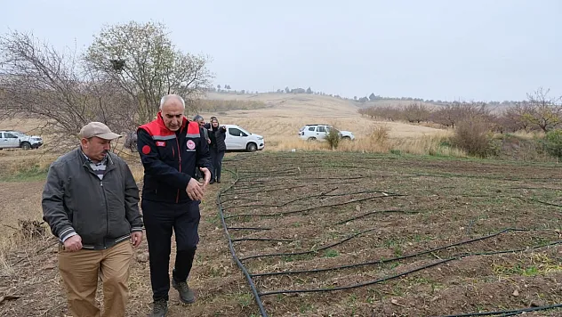 Malatya Tarımında 'Kırmızı Altın' Rüzgarı