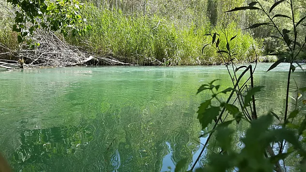 Malatya Tohma Çayı İçin Kritik Rapor: Su Temiz Ama Yatakta Tehlike Var!