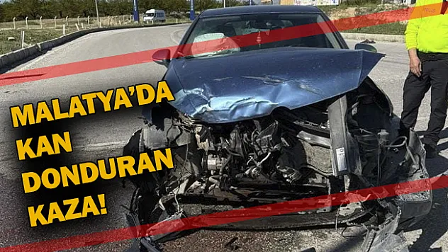 Malatya'da kan donduran kaza!