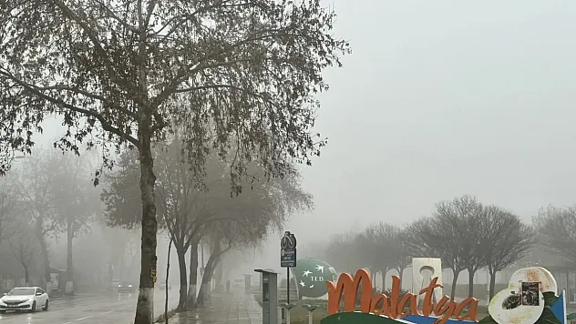 Malatyalılara Kritik Uyarı! Çatılar Uçacak, Ağaçlar Devrilecek!