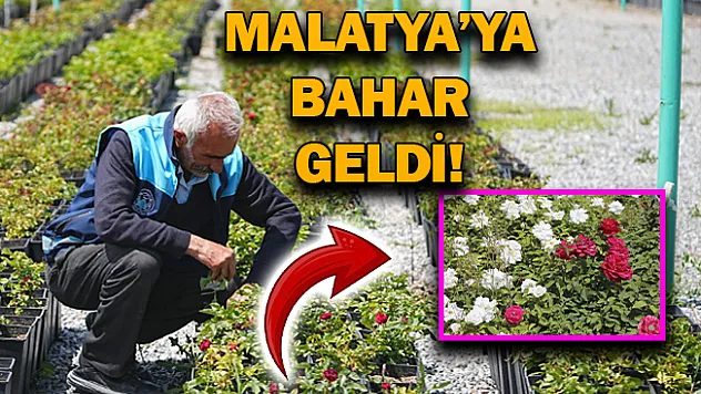 Malatya'ya bahar geldi!