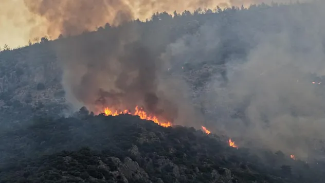 Manisa'da Ormanlık Alanda Yangın! Çok Sayıda Ekip Bölgeye Sevk Edildi