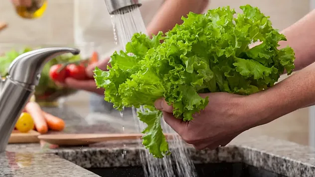 Marulu Sirkeli Suda Bekletmek Sandığınız Kadar Temizlemiyor! Uzmanlardan Şaşırtan Uyarı