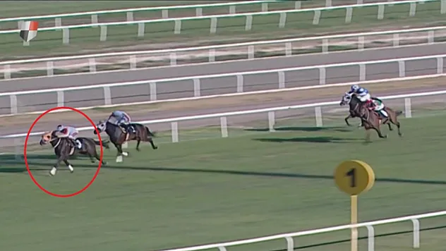 Mersin'de Aşevindeki Kavurmadan Yarış Atı Çipi Çıktı: Sahiplerine Ceza Yağdı!