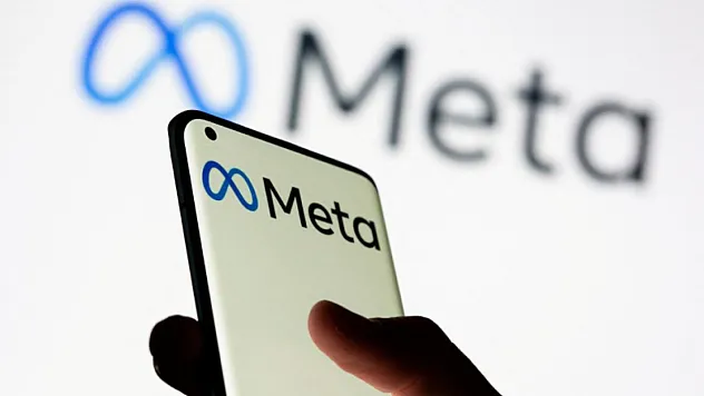 Meta'ya Yapay Zeka İncelemesi!
