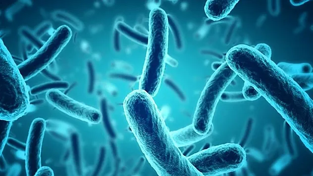 Mikroorganizmaların Gizli Dünyasında Gerçekleşen Kimyasal Diyaloglar Şaşırtıyor