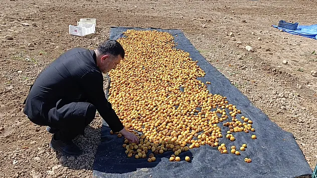 Milletvekili Ağbaba Sel Bölgesinde İncelemelerde Bulundu!