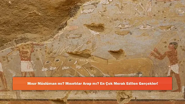 Mısır Müslüman mı? Mısırlılar Arap mı? En Çok Merak Edilen Gerçekler!