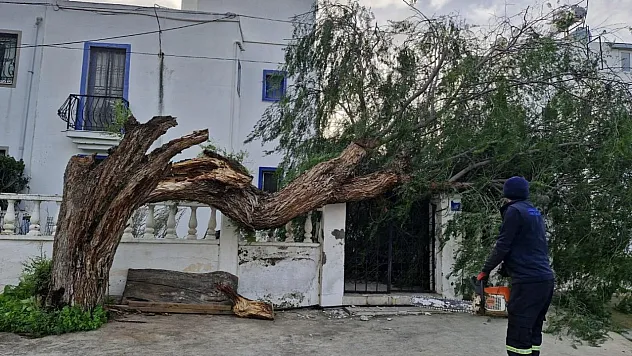 Muğla'da Fırtına Hayatı Felç Etti: Ağaçlar Devrildi, Tekne Karaya Oturdu!
