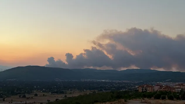 Muğla'da Korkutan Orman Yangını! Alevler İlçeye Sıçradı