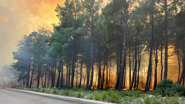 Muğla'dan Antalya'ya Sıçrayan Orman Yangını Kontrol Altına Alındı! Büyük Hasar Ortaya Çıktı