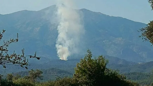 Muğla Seydikemer'de Orman Yangını: Mendos Dağı Eteklerinde Alevlere Müdahale Sürüyor