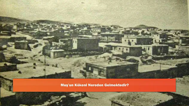 Muş'un Kökeni Nereden Gelmektedir?